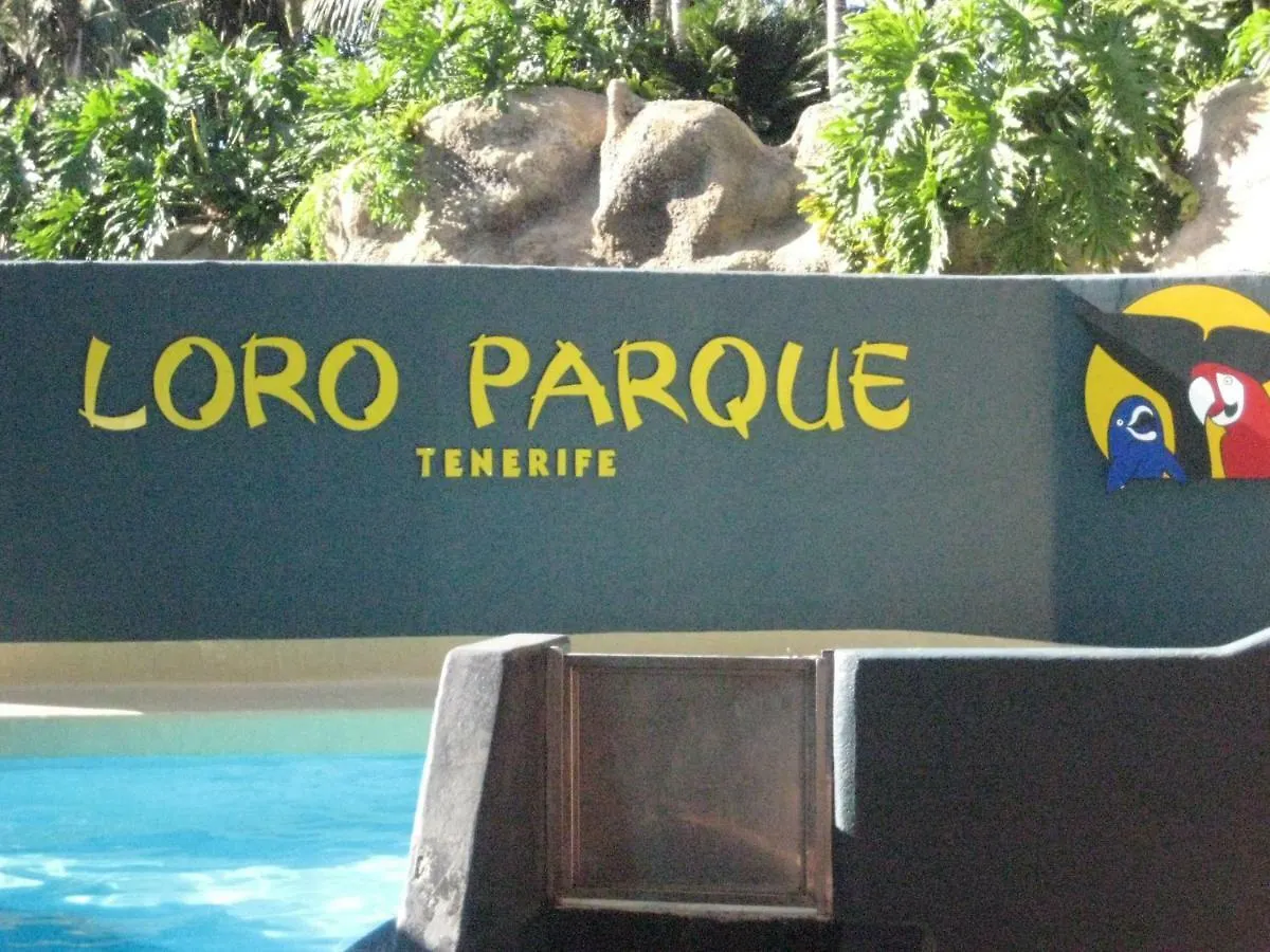 Paula Pool Apartment Adeje Costa Adeje  Costa Adeje (Tenerife)